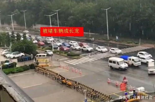 车辆在桥下躲冰雹致堵车违法吗