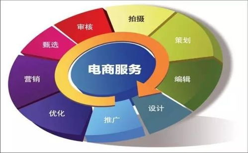 电子商务专业要学化学吗