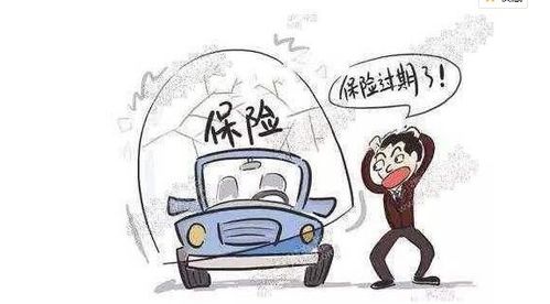 误会揭秘，八旬老人往车前放死鸡并非碰瓷